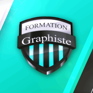 formation-graphiste-professionnel